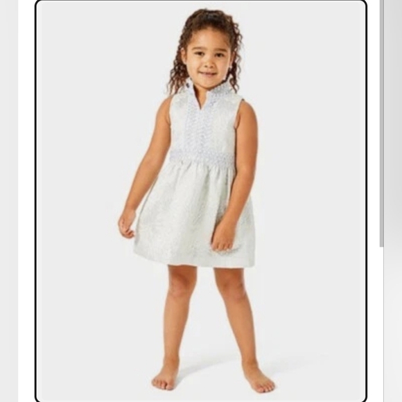 NWT Lilly Pultizer Mini Franci Dress Size 3 Seaside Grey Full Bloom Brocade